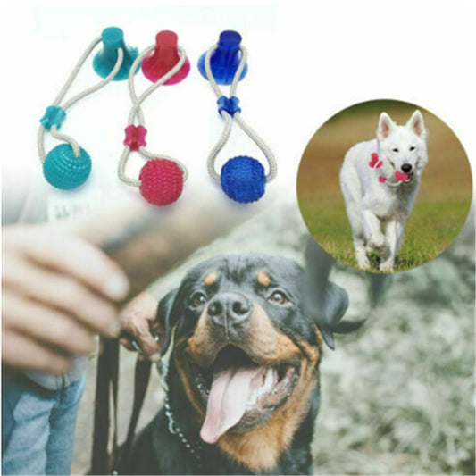 Multifunction Pet Molar Bite Toy