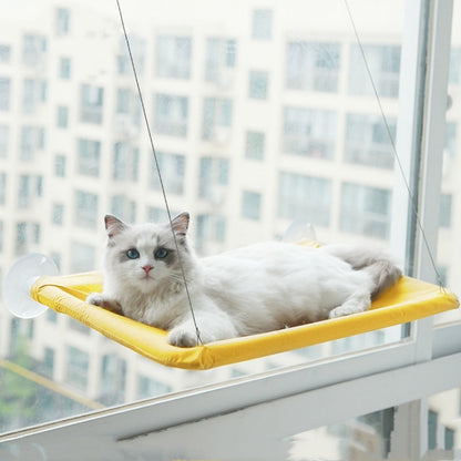 Cat Hanging Window Hammock