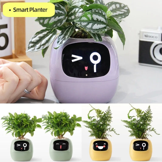 Smart Robot Planter Buddy