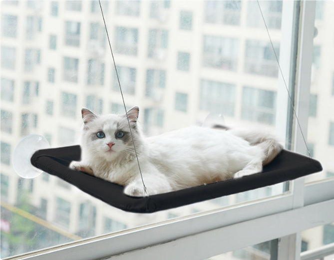 Cat Hanging Window Hammock